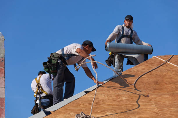 Best New Roof Installation  in Manhattan, MT
